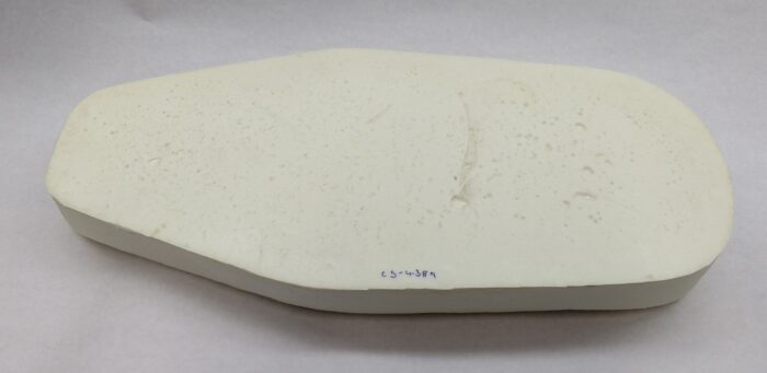 Seat Foam - Triumph - Tiger Cub T20 - 1963-67 - UK - Image 5