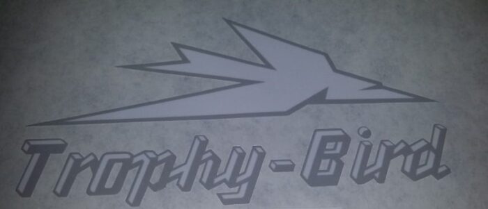 Triumph "Trophy Bird" Decal - 6" x 3"