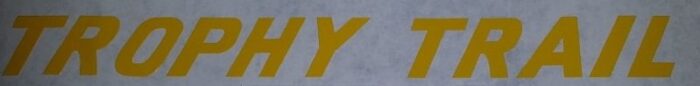 Triumph "Trophy Trail" Side Cover Decal - Yellow