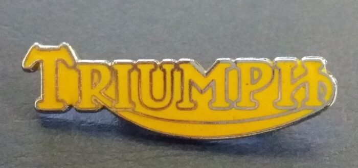 Gold Triumph Pin