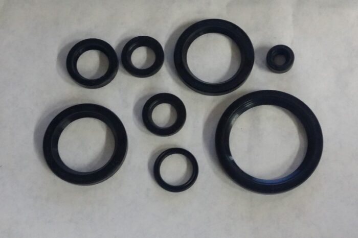 Oil Seal Set - Triumph T150 - 5 Speed