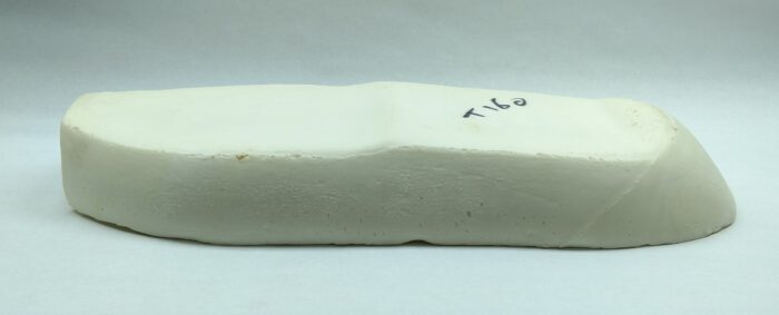 Seat Foam - Triumph T160 Trident - Image 2