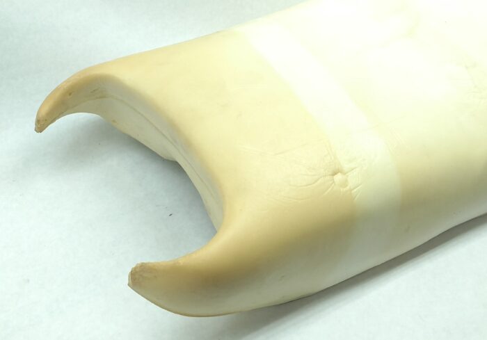Seat Foam - Norton Fastback - Image 5
