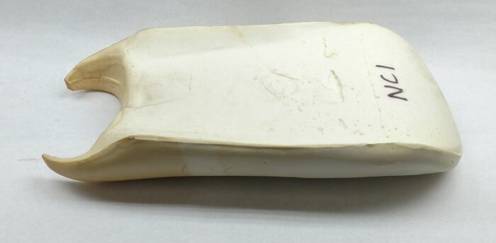 Seat Foam - Norton Fastback - Image 3