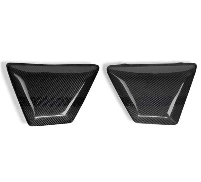RLZ Carbon Side Covers, Pair - INT/GT 650